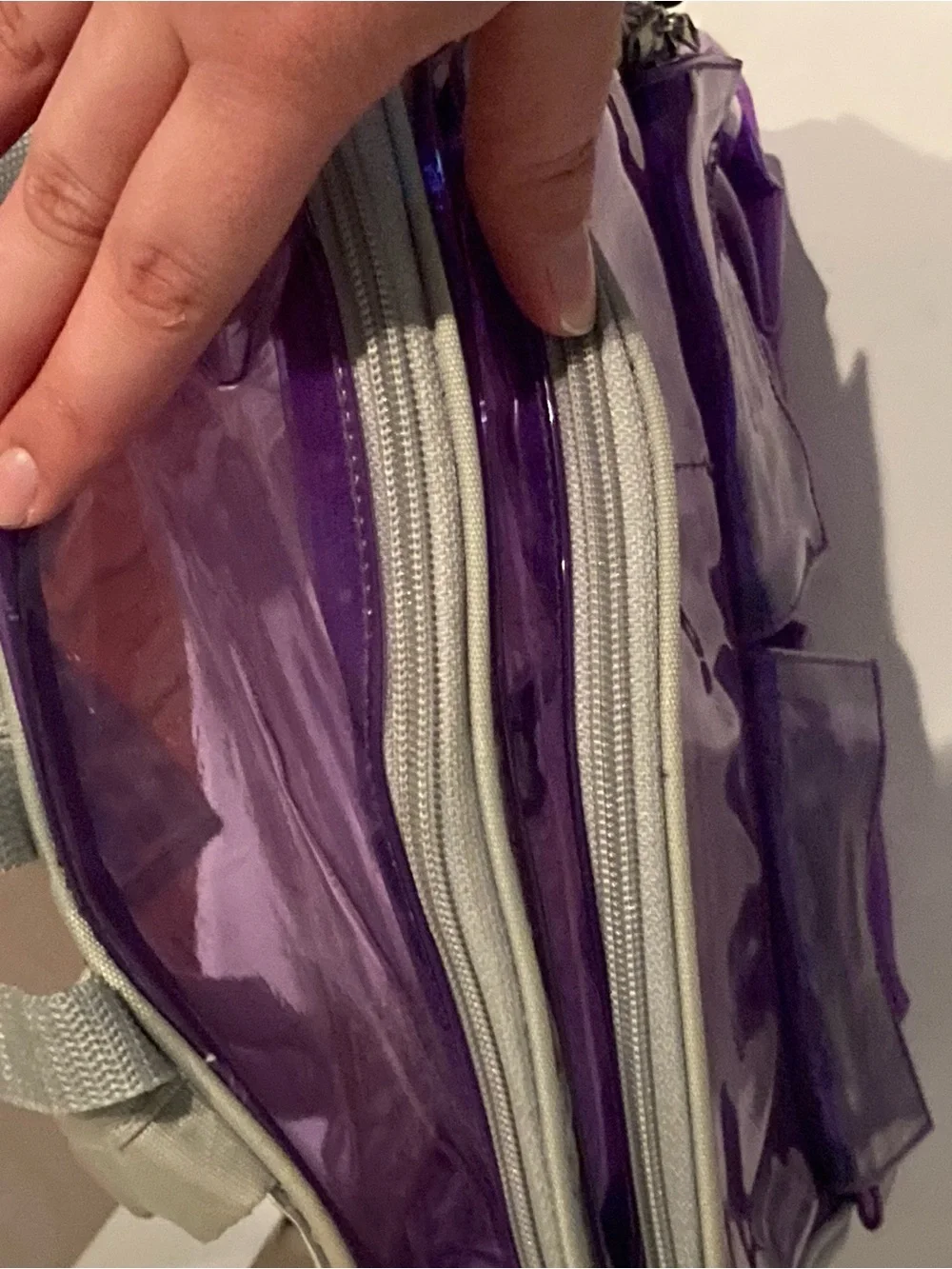 Vintage Purple Vinyl Transparent Backpack
